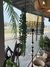 PLANTAS COLGANTES - tienda online
