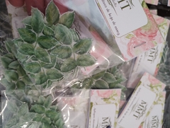 Hojas - tienda online