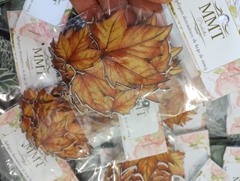 Hojas - MMTproductos