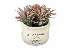 Vasija Le Jardin