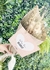 RAMO FLORES SECAS 1 - comprar online