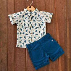 Conjunto Dinossauro