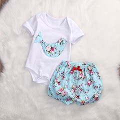 Conjunto Passaro