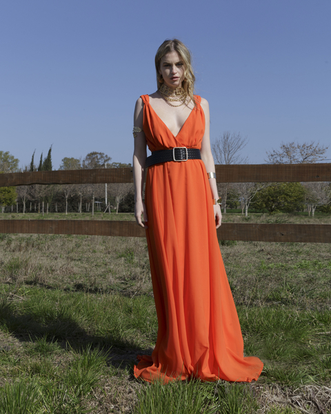 Ginger -Efvo $390.000