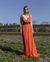 Ginger -Efvo $390.000