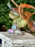 Anillo medieval Aldfis metal blanco - comprar online