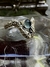 Serpiente dos cabezas Arwen
