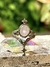 Anillo medieval Aethelu metal blanco en internet