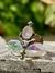 Anillo medieval Aethelu metal blanco - comprar online