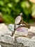 Anillo medieval Aethelu metal blanco