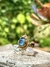 Anillo Elvira ( noble protección) Bronce - comprar online