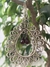 Aros Floreale Plata 925 - Shiló Joyas de Diseño
