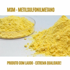 MSM! Pote com 120 Cápsulas de 500mg na internet