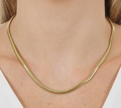 Corrente Snaker na internet