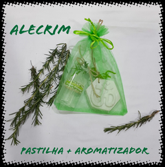 Pastilhas Aromáticas de Gesso / Alecrim na internet