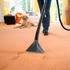 LOCACAO - LIMPADORA EXTRATORA LAVADORA CARPETE E ASPIRADOR 1400W CAPAC 4/4 L SE 4001 KARCHER 220v na internet