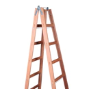 ESCADA PINTOR MADEIRA ELITE 10 DGS