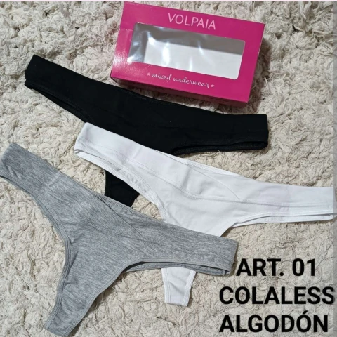 VOLPAIA ART 01