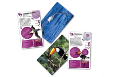 Luminias Aves - comprar online