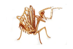 Puzzle 3D Mantis – Maqueta de Madera para Armar
