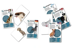 Luminias Razas de Perros - comprar online