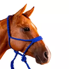 Cabresto Com Cabo Trançado de Paracord -cod:3852 - comprar online