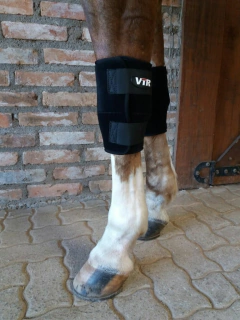 JOELHEIRA PARA CAVALO VTR (PAR) - Cod:6155 - comprar online