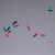 Imagem do Conjunto Com 13 Lâminas De Microorganismos - AL-MB-13