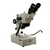 MICROSCÓPIO ESTEREOSCÓPIO (LUPA) Com Zoom - XTB-2B - Coleman