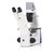 Primovert - Microscópio Invertido Binocular