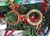 1er. Set Navideño en internet