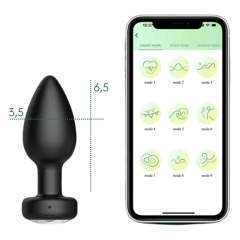 ASTER PLUG ANAL POR APP RECARREGÁVEL na internet