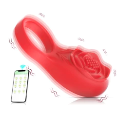 ROSE ANEL PENIANO VIBRATÓRIO POR APP - comprar online