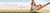 Imagem do banner rotativo Gimonné