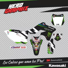 Kawasaki en internet