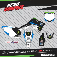 Kawasaki en internet