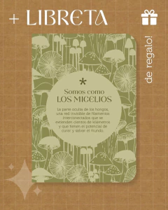 Preventa HONGOS - comprar online