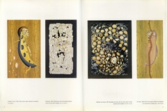 Miguel Harte en el Museo Nacional de Bellas Artes, de Pablo Suaréz y David Elliot. en internet