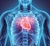 CURSO DE ANATOMIA E FISIOLOGIA HUMANA