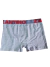 Boxer Zantino, gris melange (yl010421)