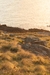 Carrusel 5