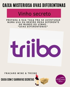 CAIXA MISTERIOSA - 2 GARRAFAS - JUNHO