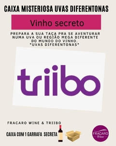 CAIXA MISTERIOSA - 1 GARRAFA - JUNHO