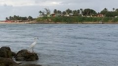 Imagen de PASEO EN BARCO