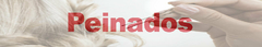 Banner de la categoría Peinados