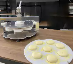 Modeladora de esfiha Industrial Gold Machines (usado) estudo troca - SitedaPizza