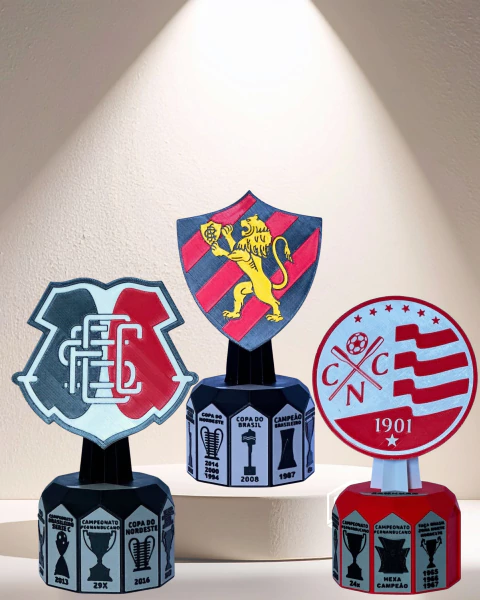 Troféu de time - Meu Amor em Títulos - comprar online