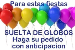 NAVIDAD - ALE DE LUCA arte con globos