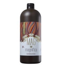 Kit Alisante de Cabelo 2x1L + Máscara de Hidratação MAG na internet
