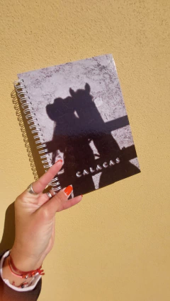 Bitácora • CABALLO